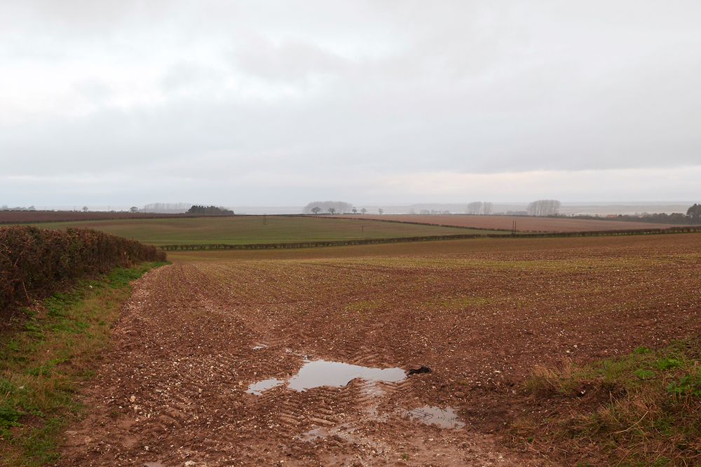 BurnhamMarket021218-1