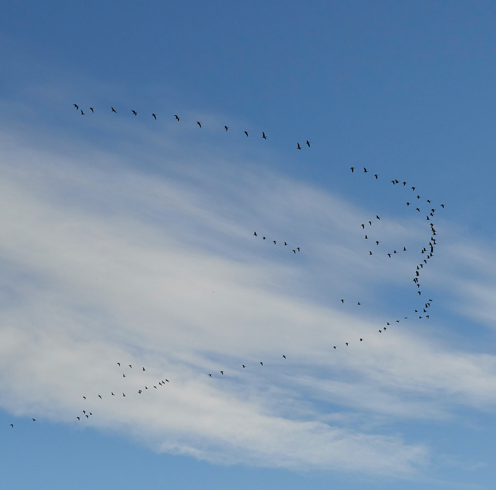 BurnhamMarket021218-14