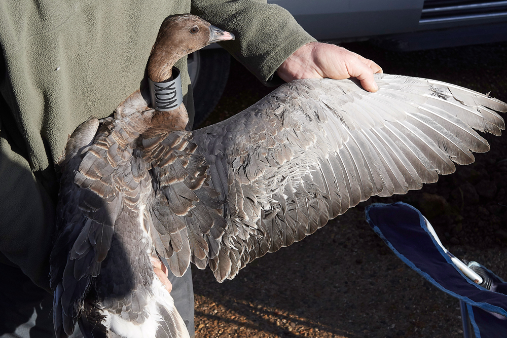 BurnhamMarket021218-19