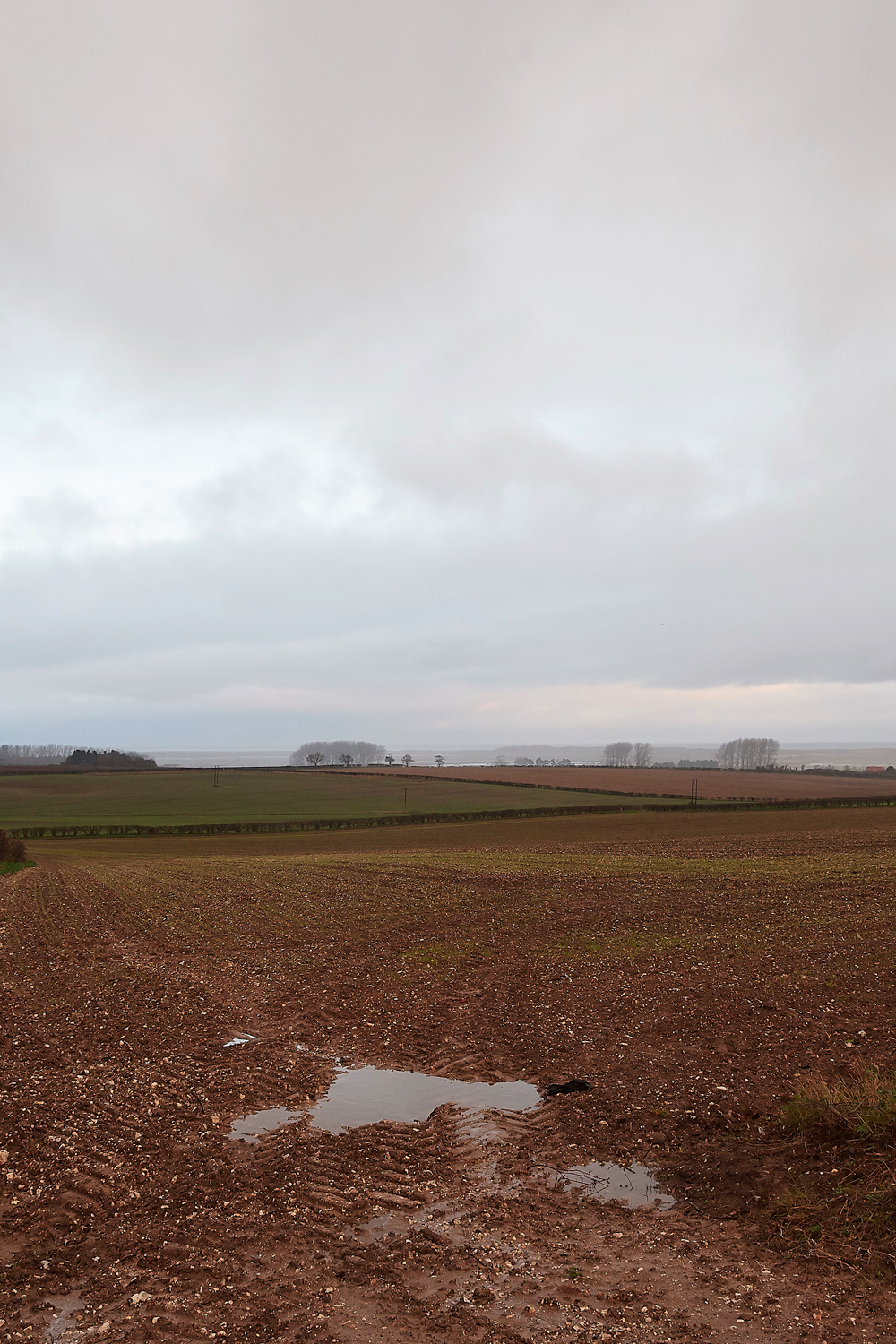 BurnhamMarket021218-2