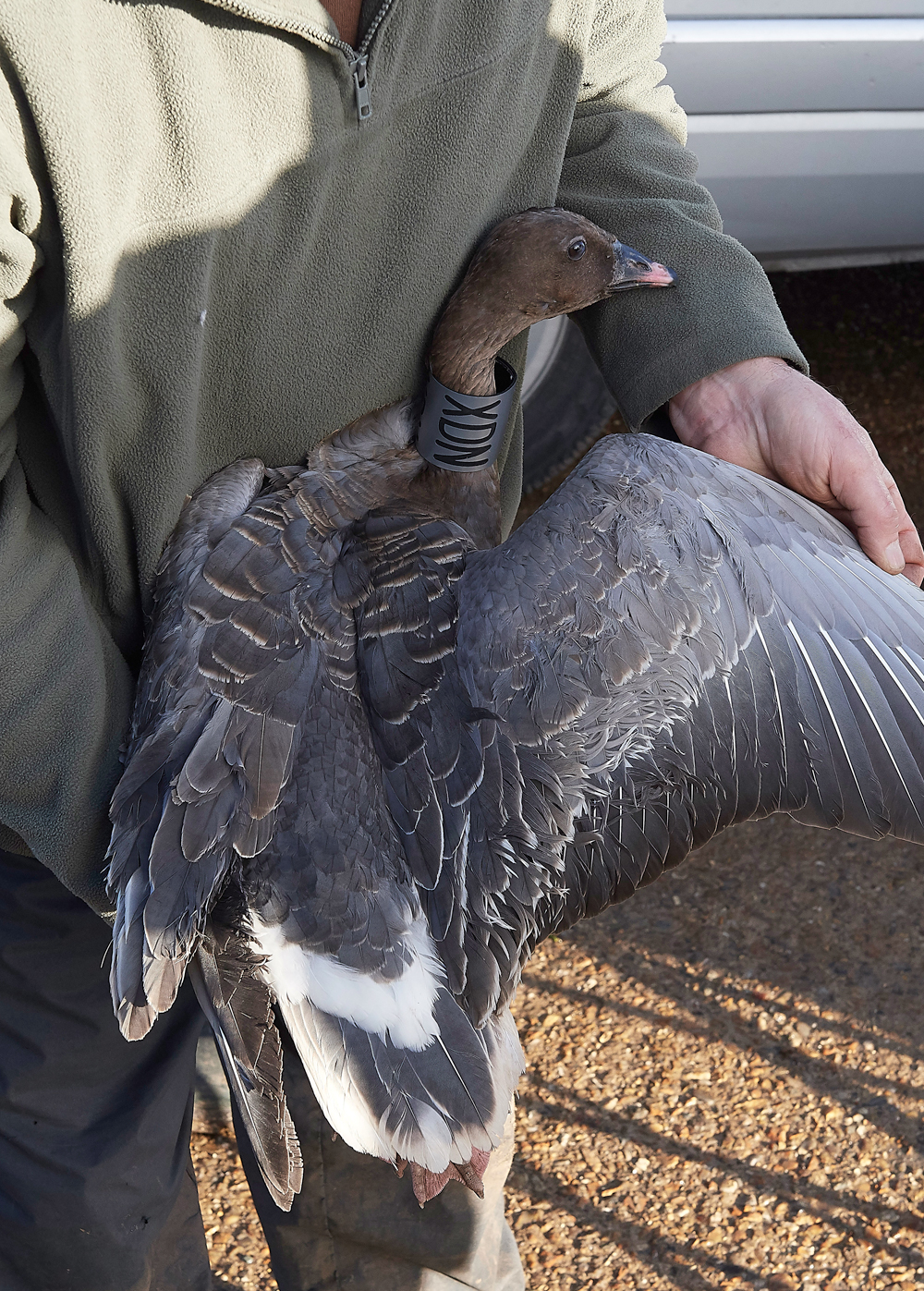 BurnhamMarket021218-20