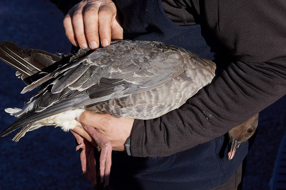 BurnhamMarket021218-22