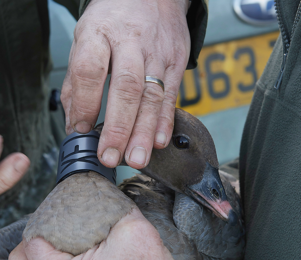 BurnhamMarket021218-25