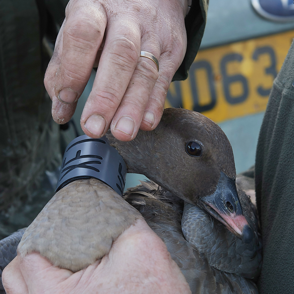 BurnhamMarket021218-27