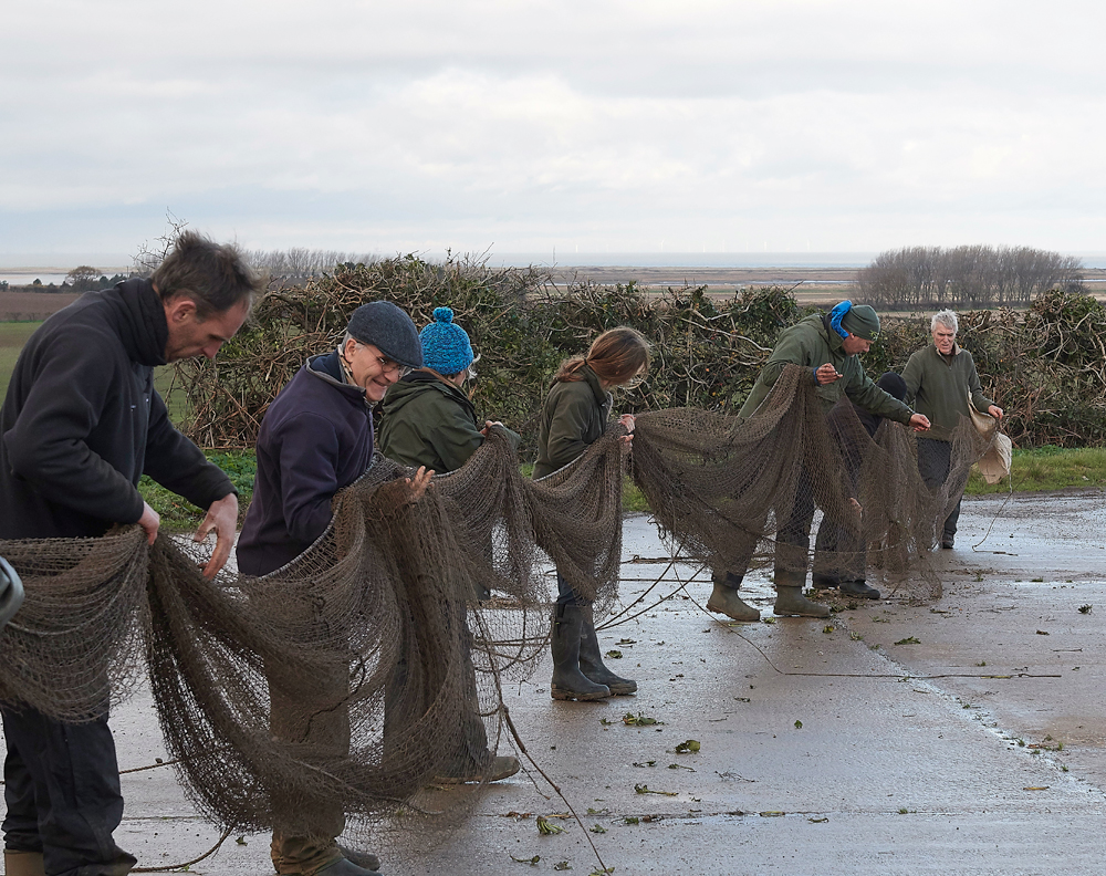 BurnhamMarket021218-32