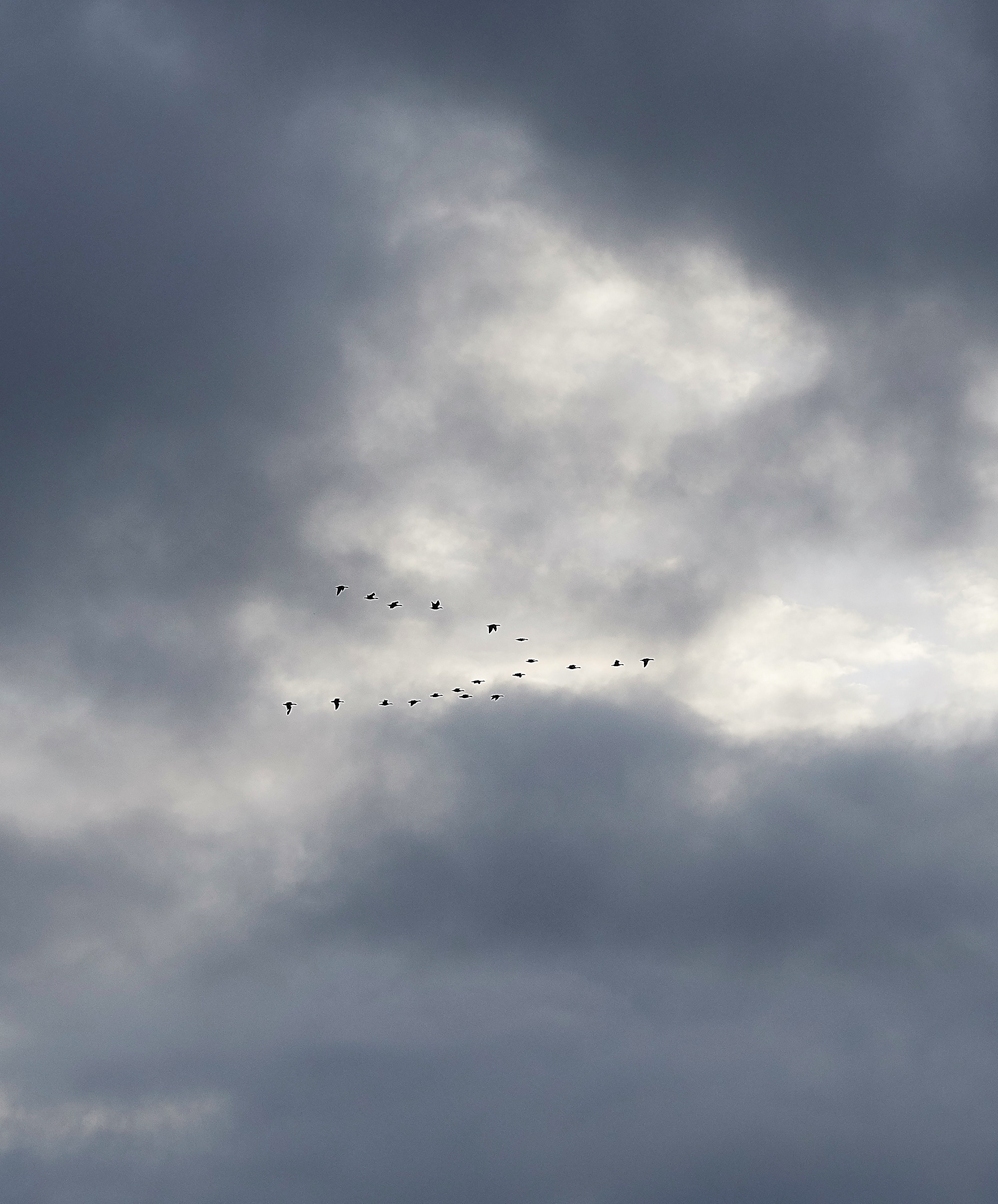 BurnhamMarket021218-4