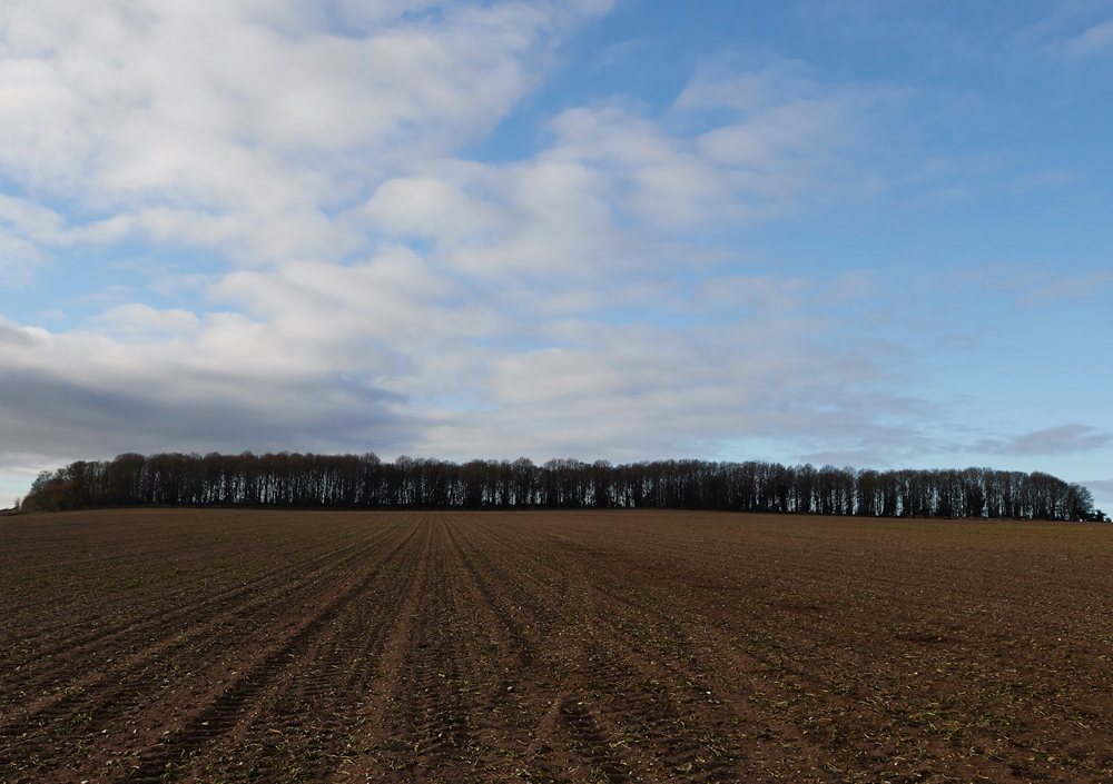 BurnhamMarket021218-47