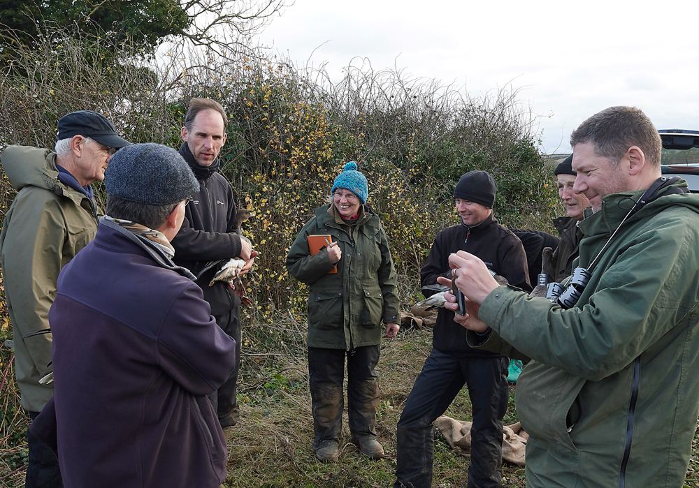 BurnhamMarket021218-51