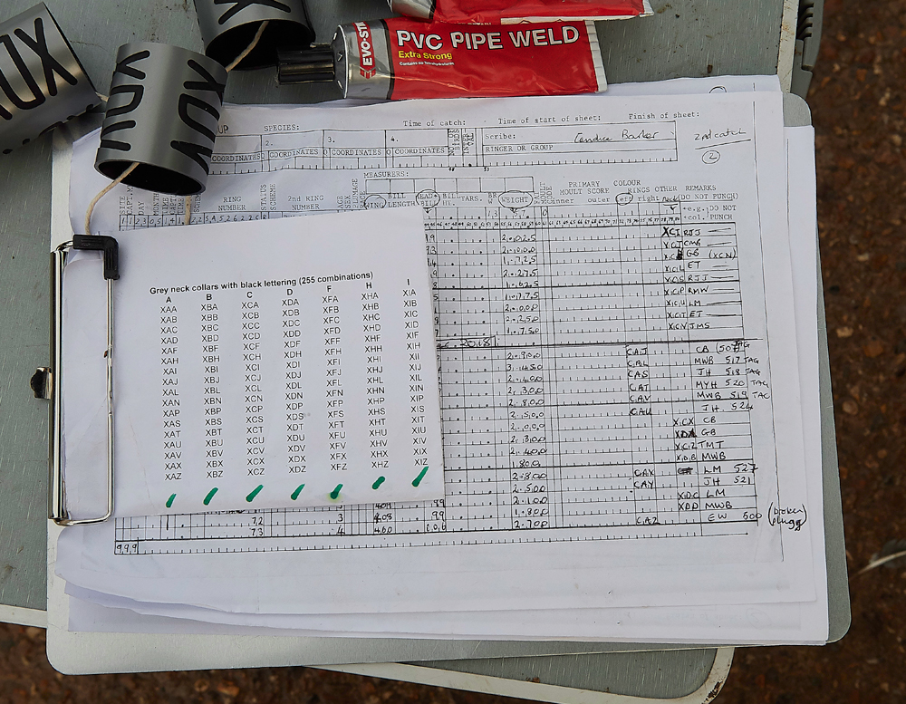 BurnhamMarket021218-9