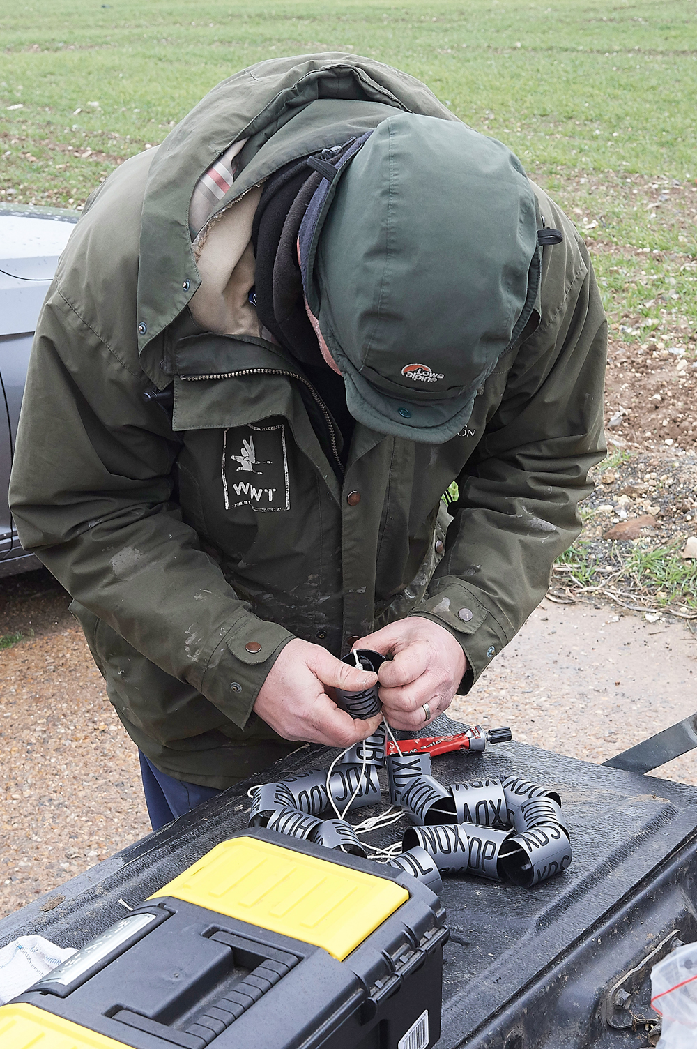 BurnhamMarketPinkfeet011218-45