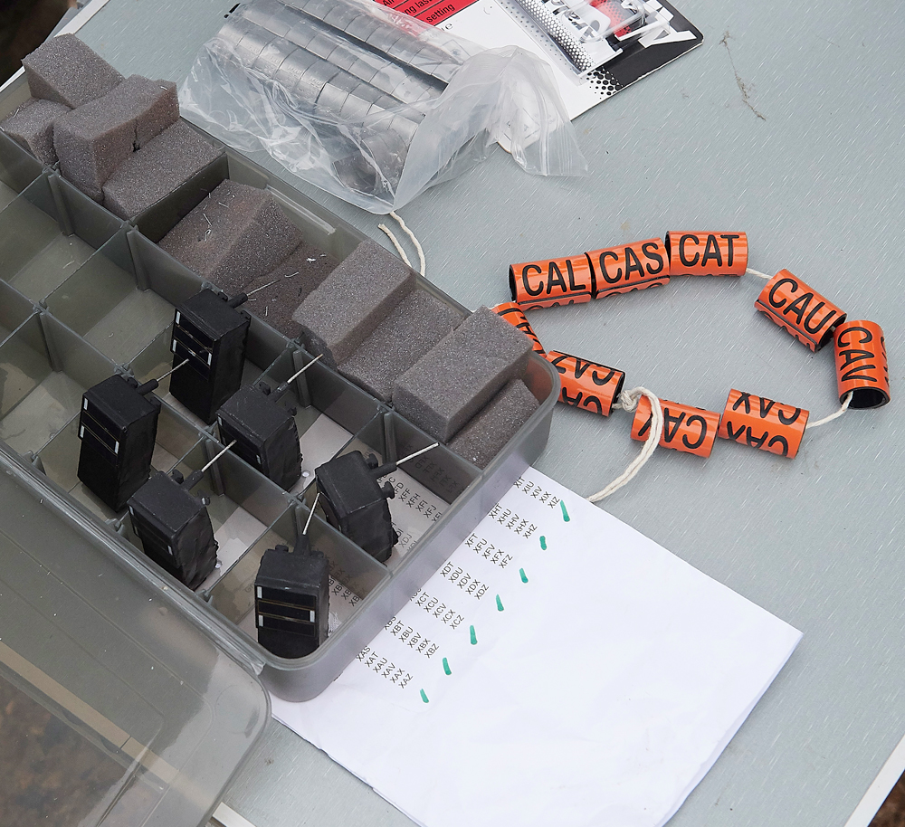 BurnhamMarketPinkfeet011218-7