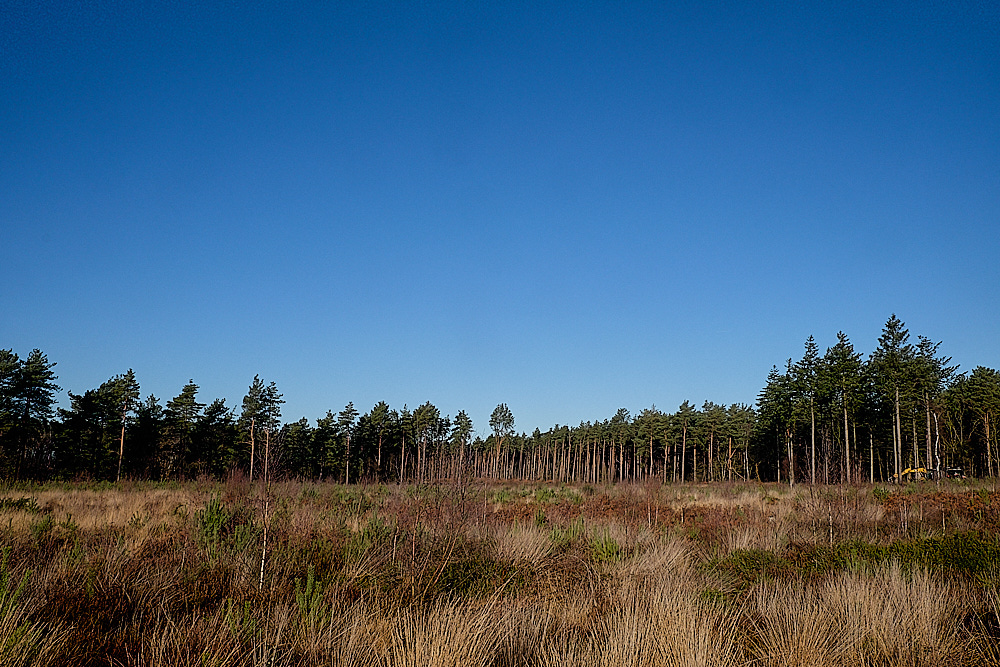 HoughenPlantation161218-4