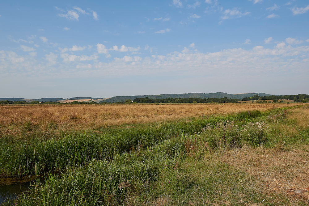 AmberleyWildBrooks260718-4