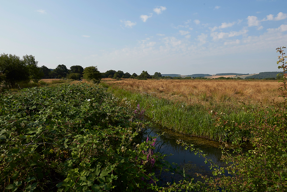 AmberleyWildBrooks260718-5