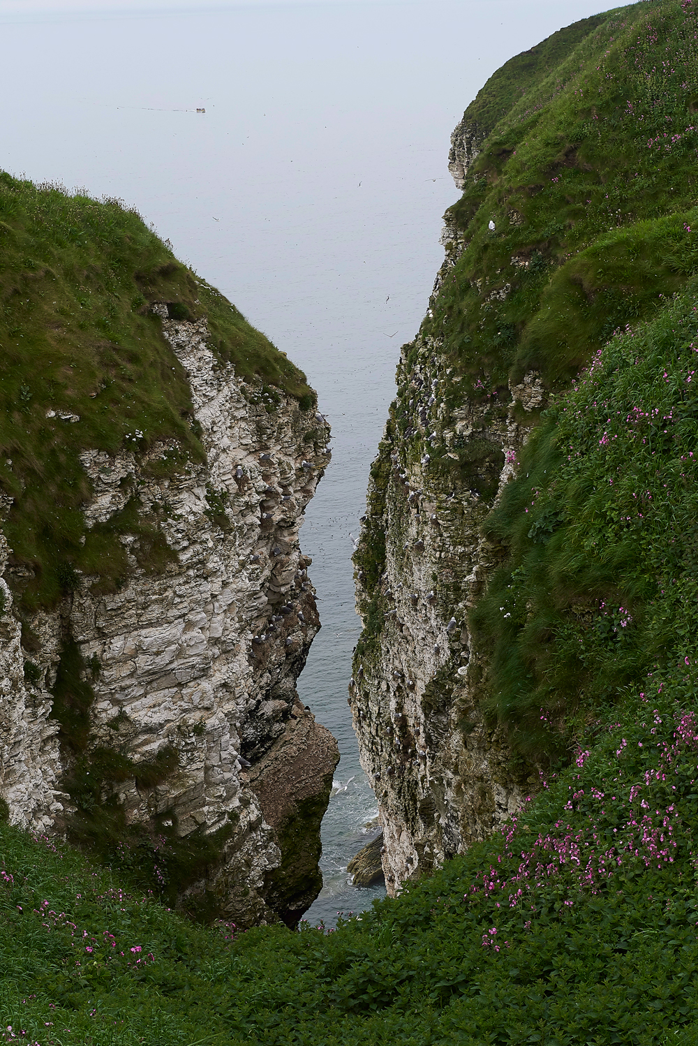 BemptonCliffs020618-4