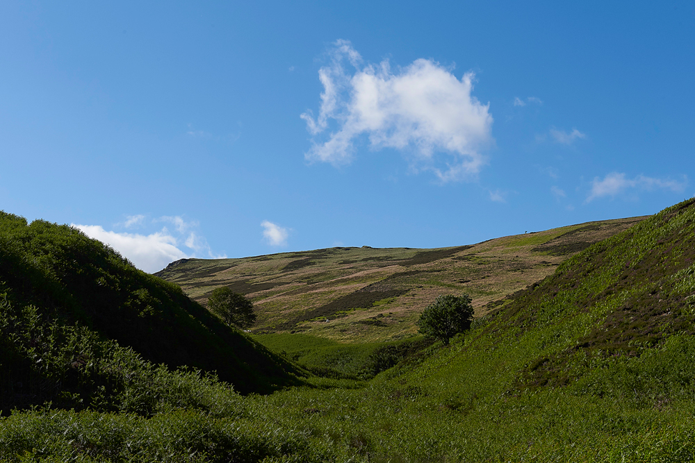 Cheviot140618-1