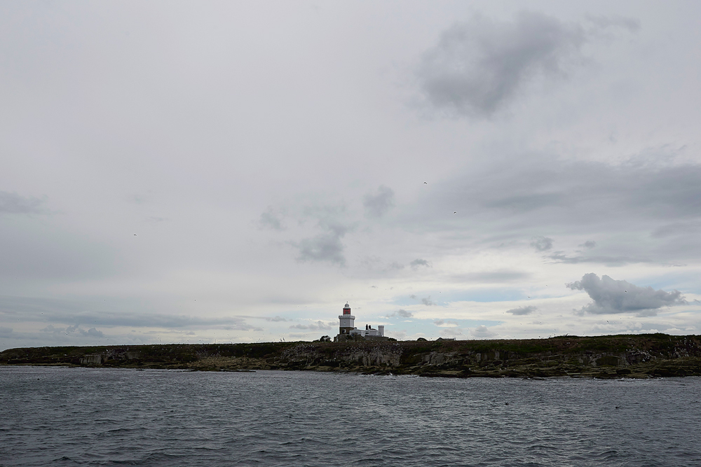 CoquetIsland150618-1