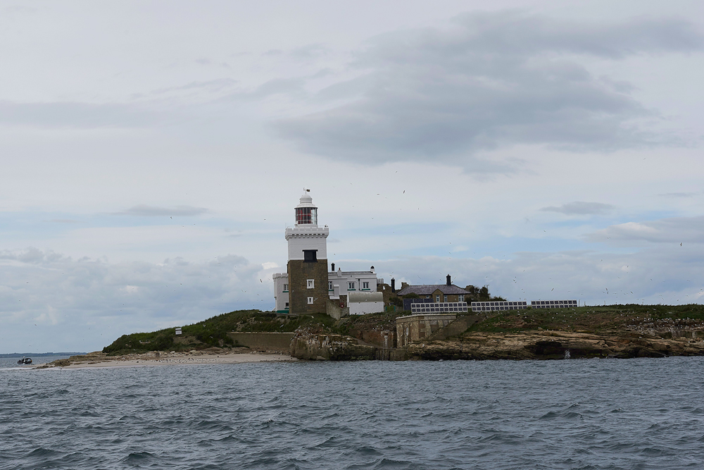 CoquetIsland150618-2