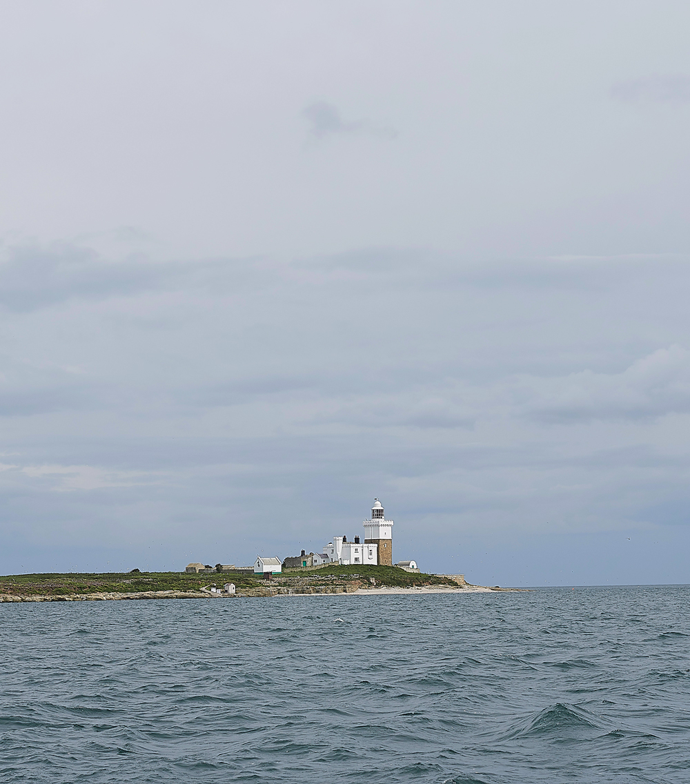 CoquetIsland150618-3