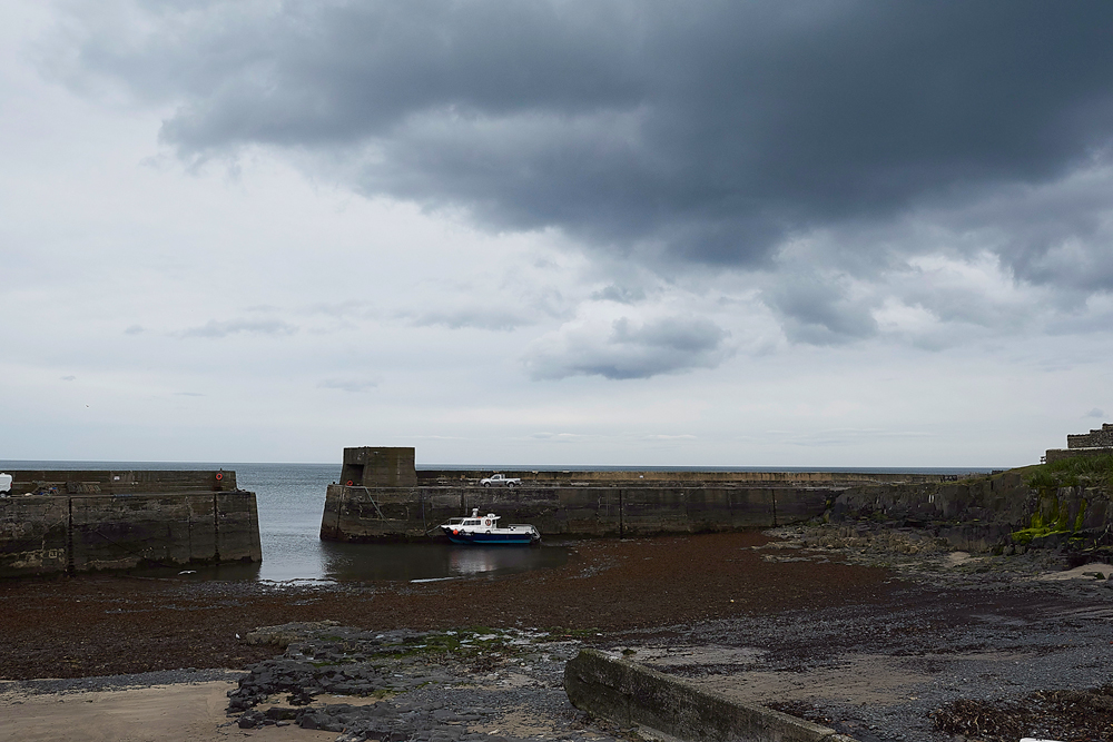 Craster150618-2