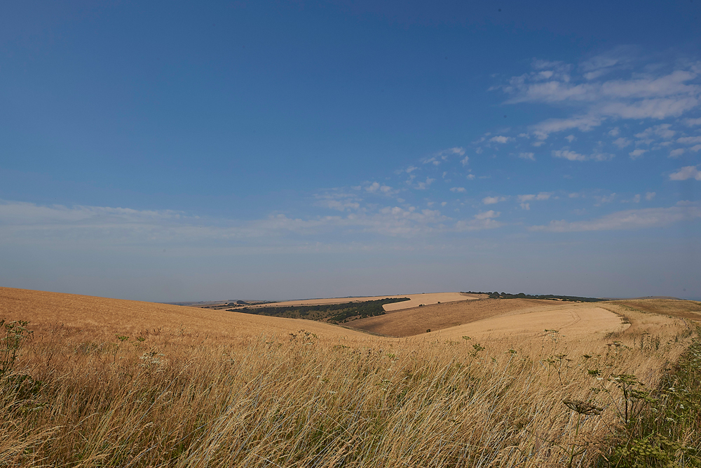 Ditchlingbeacon260718-1