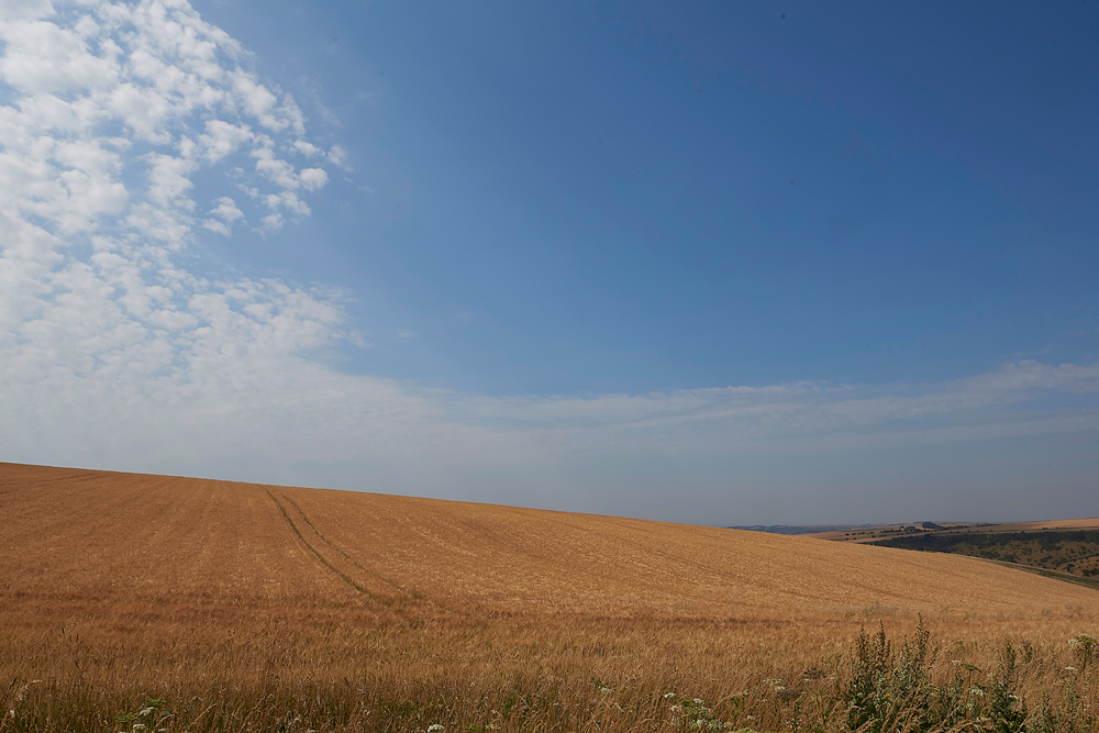 Ditchlingbeacon260718-2