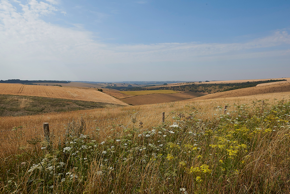 Ditchlingbeacon260718-4