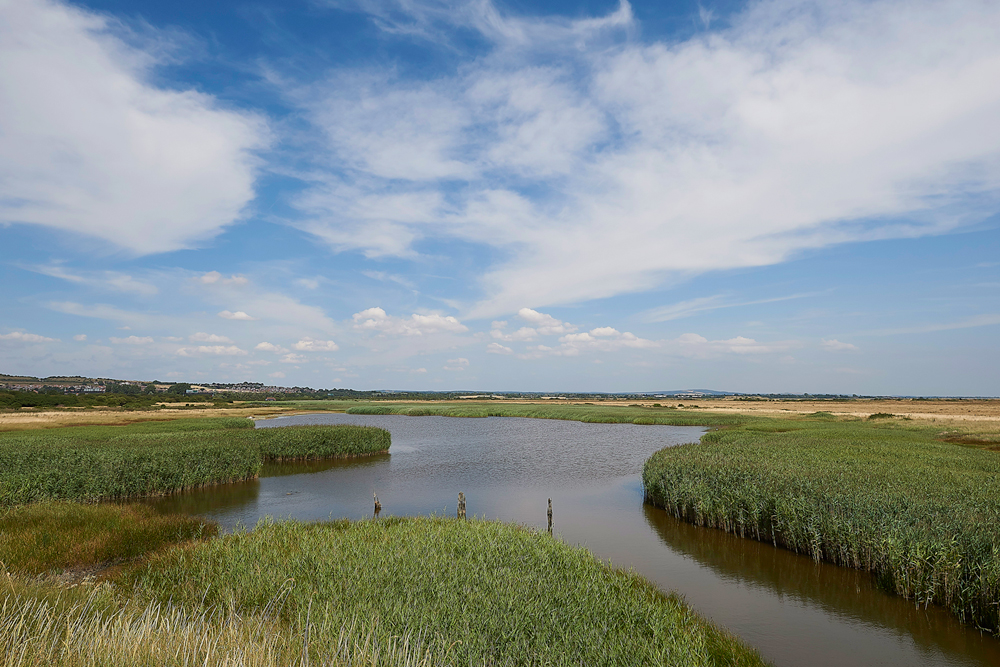 FarlingMarshesTheLake250718-3