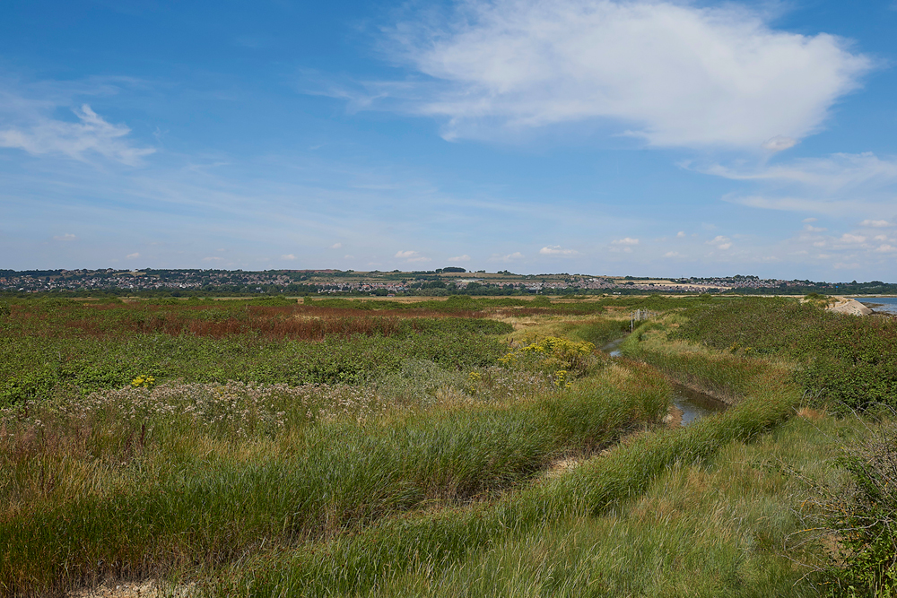 FarlingMarshesThePoint250718-1