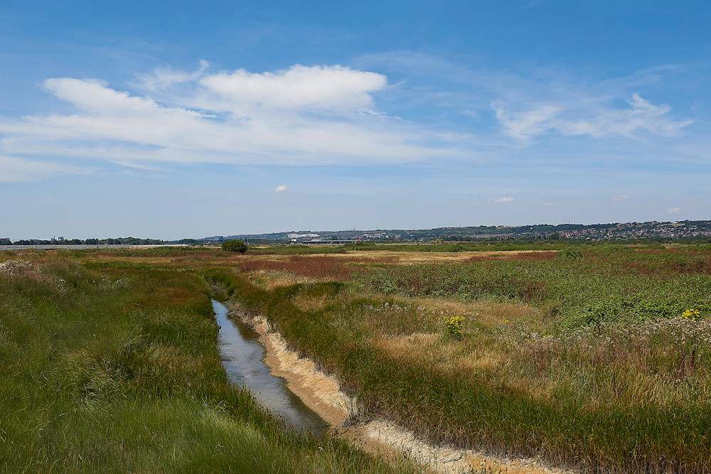 FarlingtonMarshesThePoint250718-2