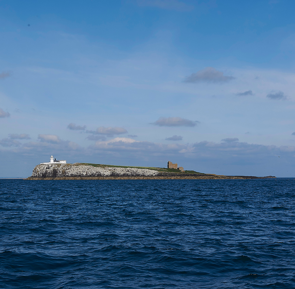 FarneIslands130618-1
