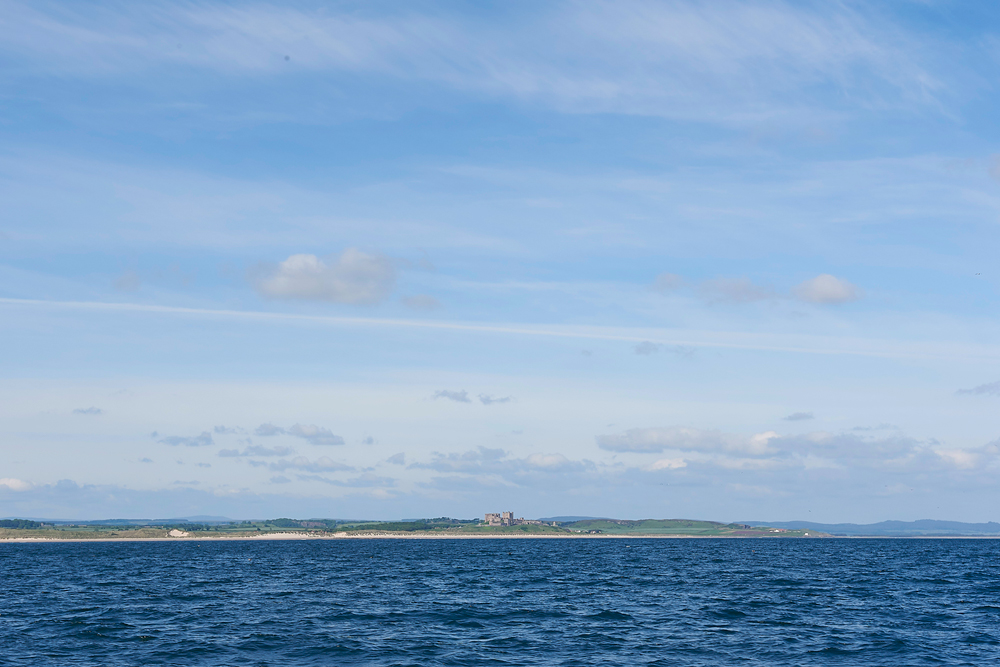 FarneIslands130618-2