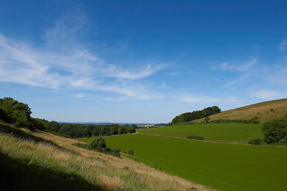 FontmellDown230618-4