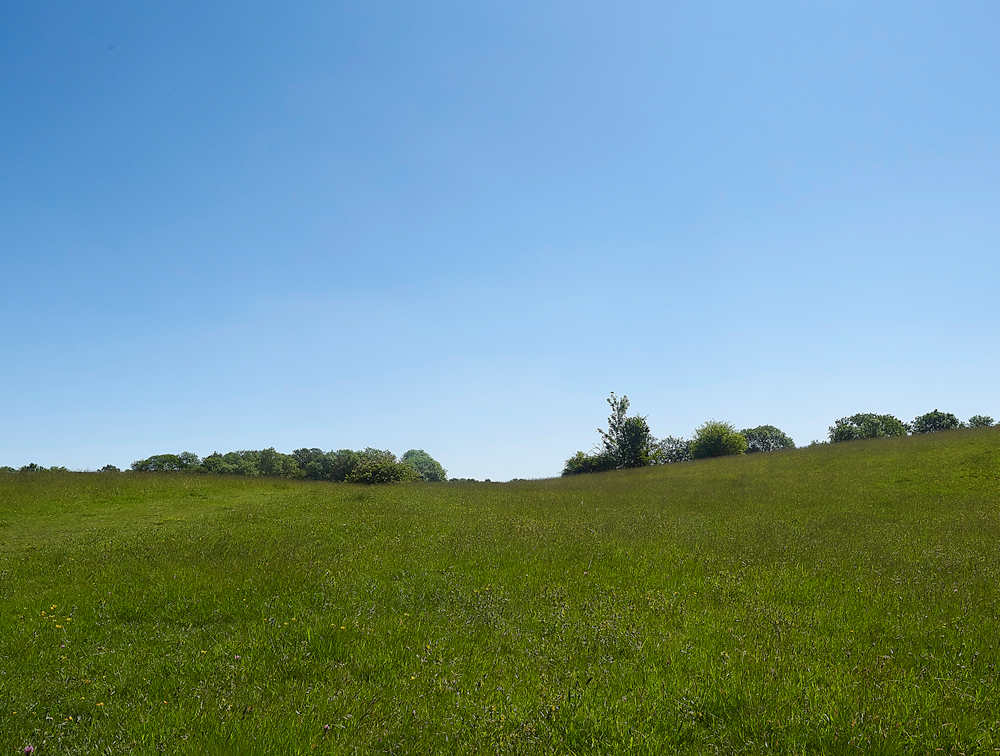 GairbarrowsMeadow280518-2