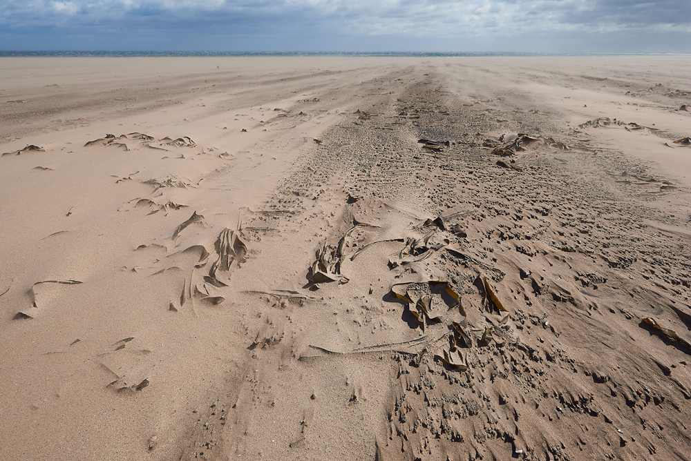 HolyIsland140618-13a
