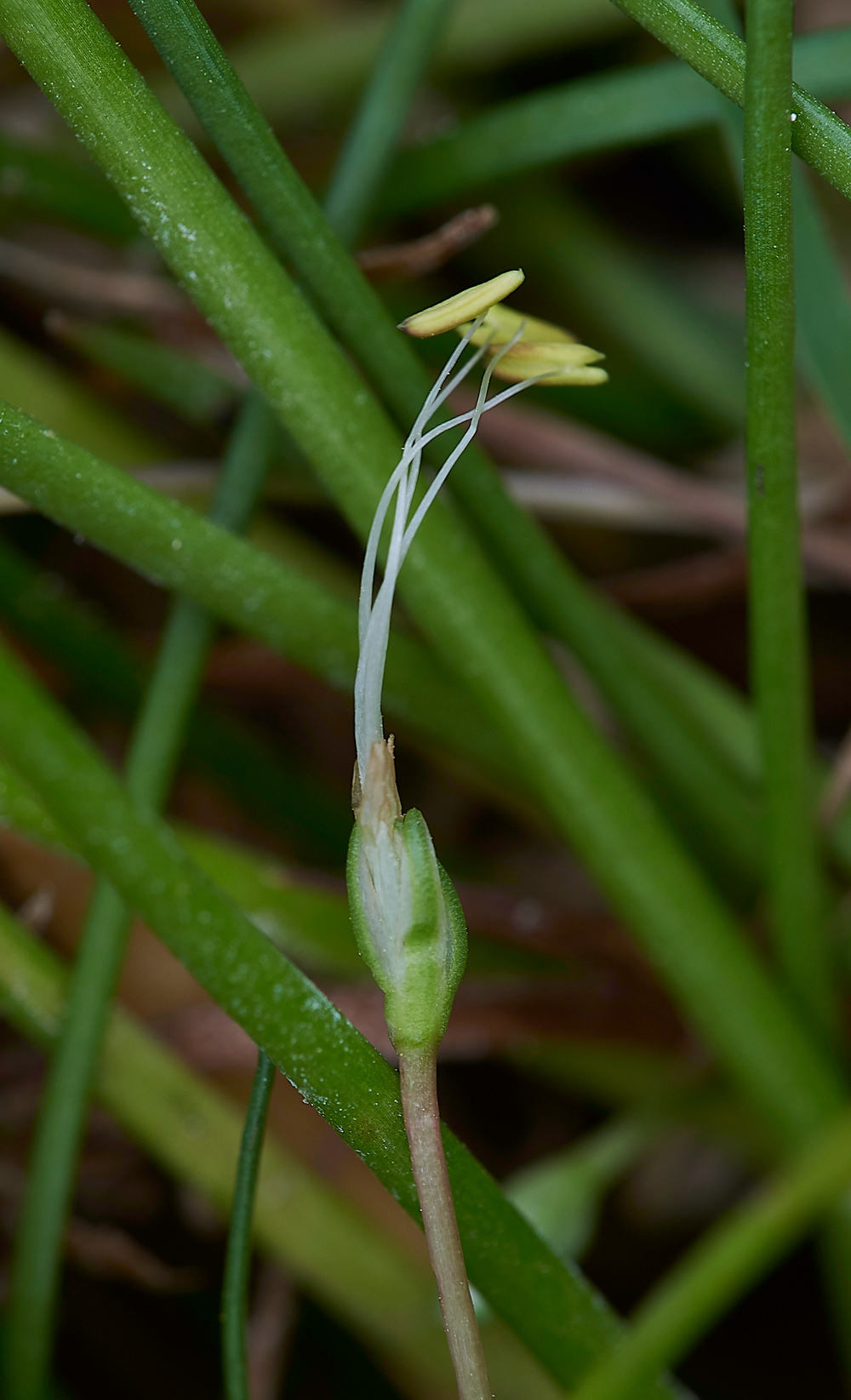 HolyIslandUnknown130718-1