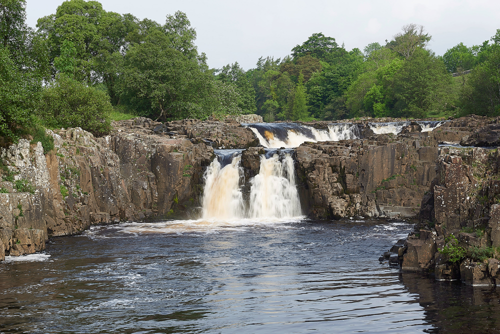 LowForce010618-2