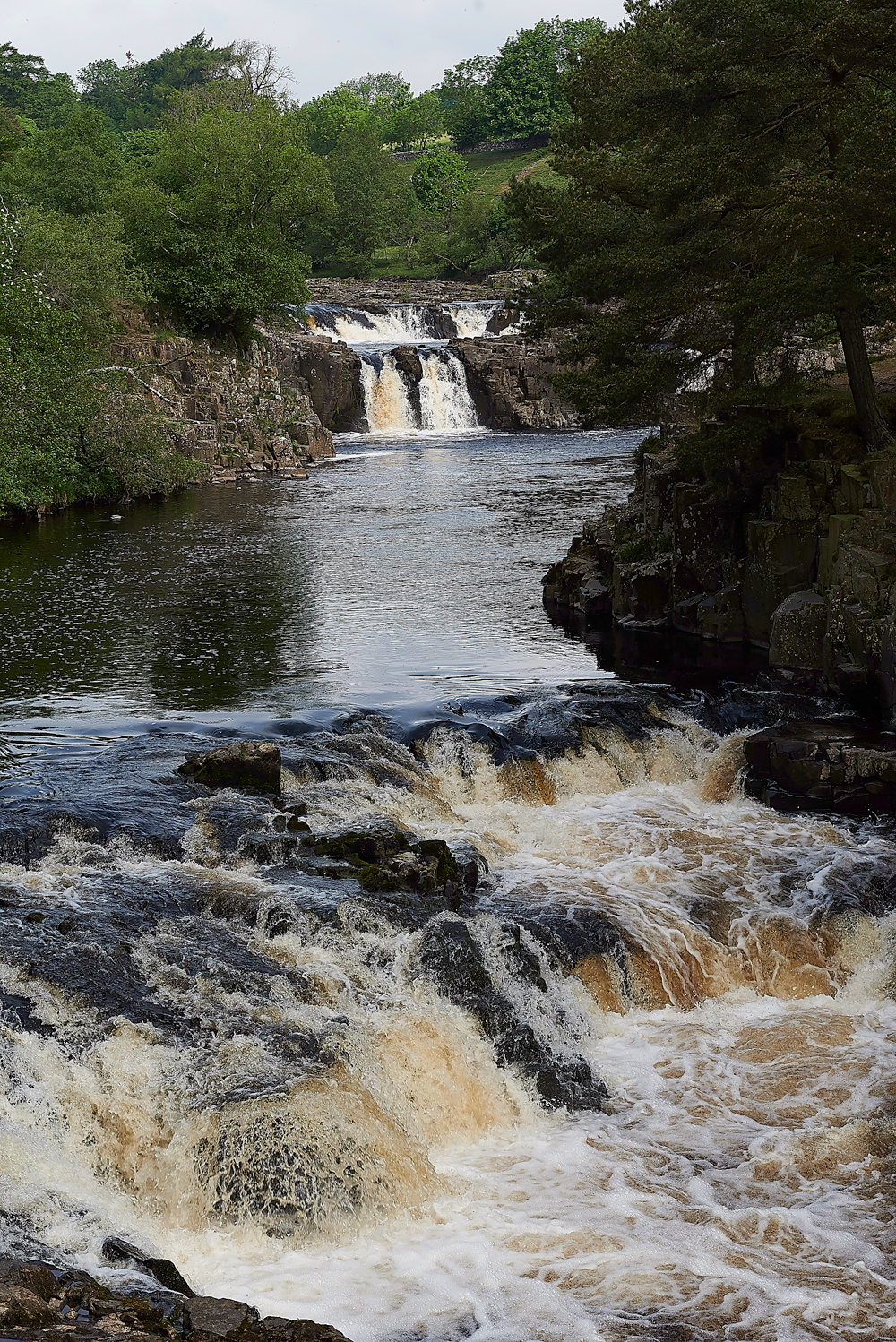 LowForce010618-3