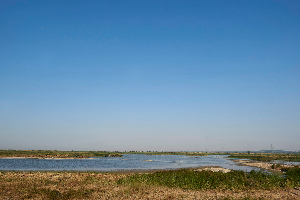 OareMarshes260718-1a