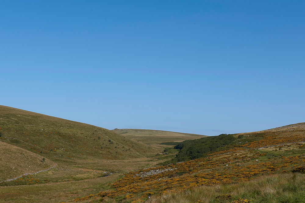 Wistman&#39;sWood310818-10