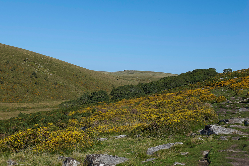 Wistman&#39;sWood310818-11