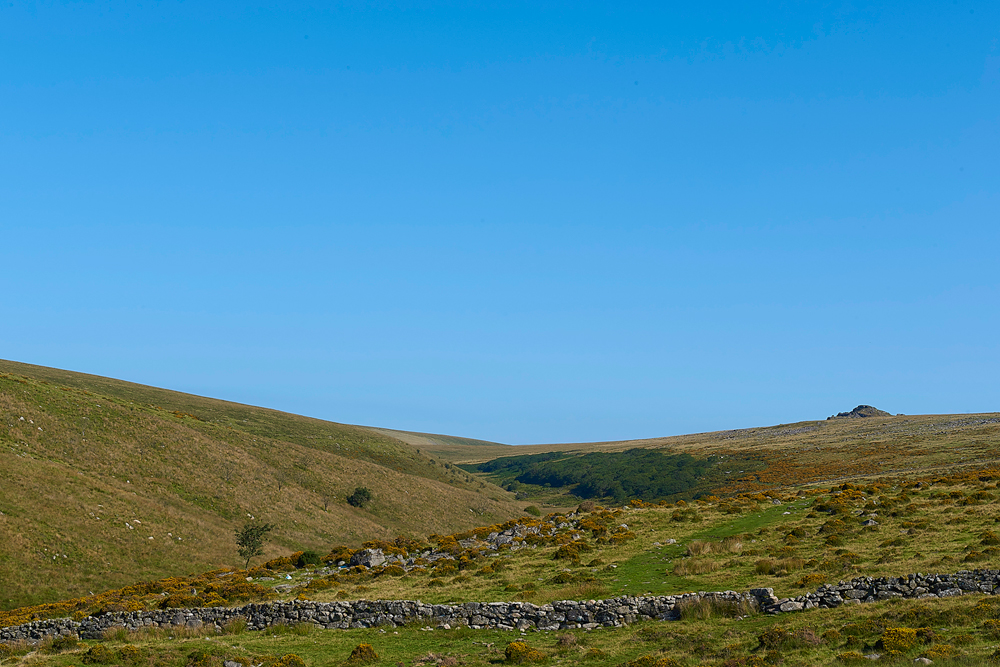 Wistman&#39;sWood310818-8